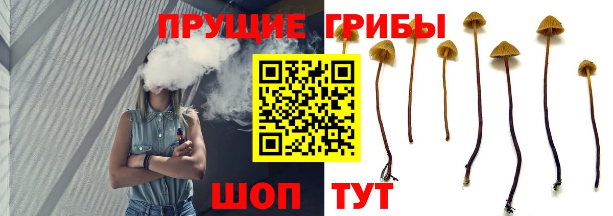 Воронеж  Галлюциногенные грибы Psilocybe  Вход с VPN 
